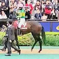 👑🐴日本ダービー　2025