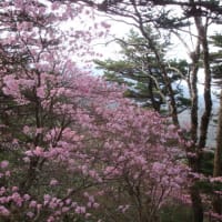 愛媛県　岩黒山　５月１７日