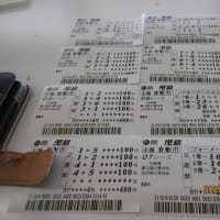 とらやのＢ定　大山名人記念館　鷲羽山　3月３日～4日