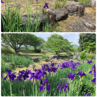 あっという間に…