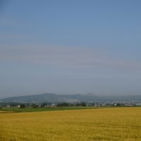 美瑛みたい～♪ in 由仁町