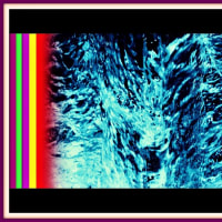 🐉🌈清流に驚愕の【⚡龍神様⚡】出現❢❢