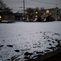 雪が積もりました