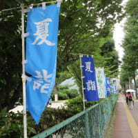 住吉神社の夏詣