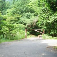柚の木峠異聞