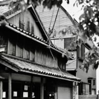 彷徨-和歌山県和歌山市：加太