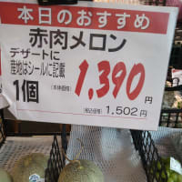 メロン１個が３９９円