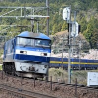 櫻と鉄道
