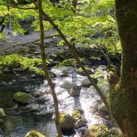 南伊豆にきています＾＾