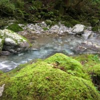 滋賀　河内の風穴