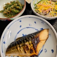 うちのごはん　　塩サバ　と　いんげん豆のピーナッツ和え　と　中華春雨サラダ　と　冷奴(^.^)