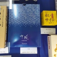 北海道立図書館へと卓上四季と