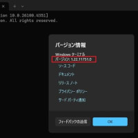 Windows Terminal 1.22.11751.0 （ストア版）がリリースされました。