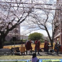 花冷えに負けずに演奏してきました