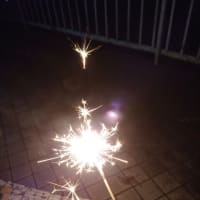 花火と小動物。