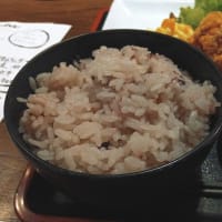 定食（戎ビアホール／松のや／ぶたぼーる）（2025年7月）