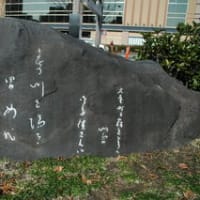 鈴鹿野風呂句幅 吾亦紅 鈴鹿野風呂 - 和書