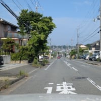 このあたりの道　