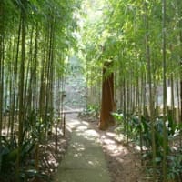 久々の鎌倉：東慶寺から扇ヶ谷