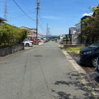 お茶屋さんの茶そば