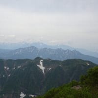 浅草岳・山野草を訪ねて④　一等三角点のある山頂到着　2024/06/07