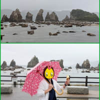 🚙和歌山に行って来ました 