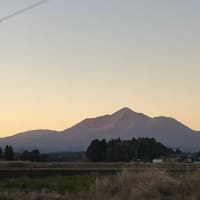 霧島神宮にて
