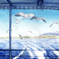 ◆霞ケ浦・遊覧船から筑波山とカモメ◆