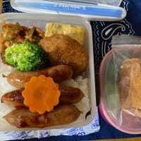 ７．４　ウインナー弁当