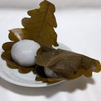 和菓子で感じる日本の伝統文化３～かしわ餅～