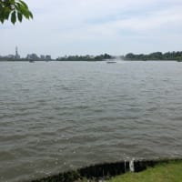 久々の千波湖ウォーキング
