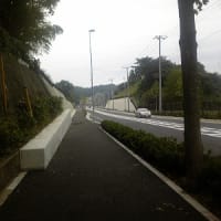 尻手黒川道路の工事状況（開通）(2010年10月24日)