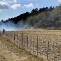 境川の源流地区：雑草焼き