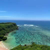 7月4日　塩