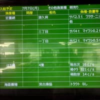 7年7月7日