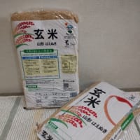 ★【コストコ】玄米5kg