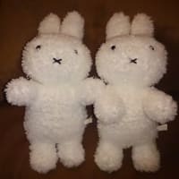 どうしよ