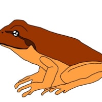 カエルのイラスト
