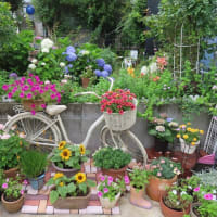 ２０２５．０６．１８　今日のブログ