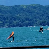 只今、牛臥山公園にて海を眺める