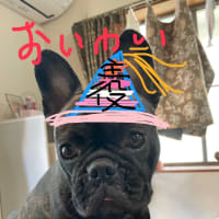 彦十 ３歳