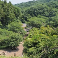 雀川砂防ダム公園とアライ