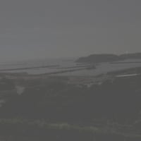 たくさんの「支え」を胸に