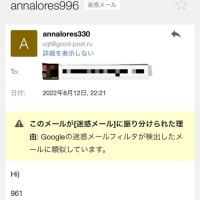 47のフィッシングサイトにデタラメなデータを入力すると…