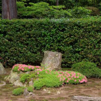 洛北の地、圓通寺のお庭を愛でる