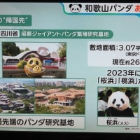 九州北部・近畿に史上最も早い「梅雨明け」