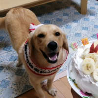 5月25日(水)  ぽっちゃん♡1歳のお誕生日🎂♡