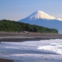 富士山＆三保の松原世界遺産に