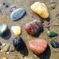爽やか海さんぽ