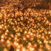 ひとつだけ言いそびれたる言の葉の葉とうがらしがほろほろ苦い